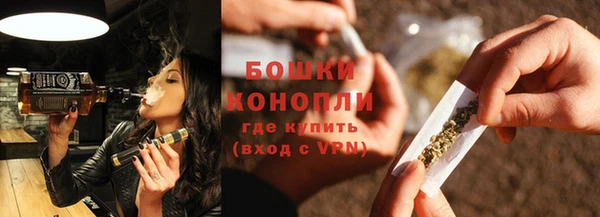 PSILOCYBIN Горно-Алтайск