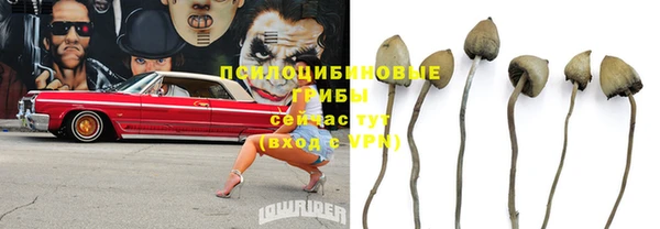 экстази Горнозаводск