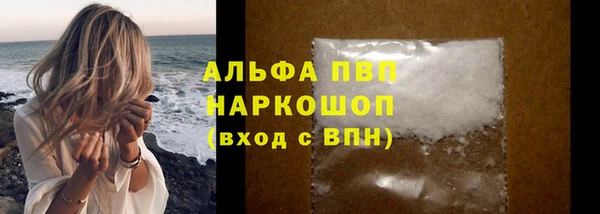 PSILOCYBIN Горно-Алтайск