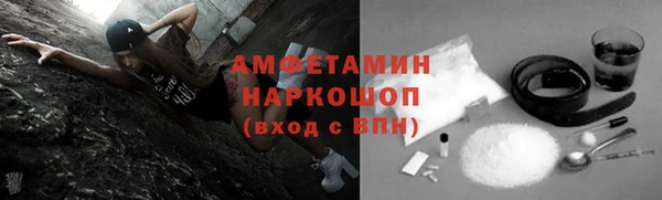 PSILOCYBIN Горно-Алтайск