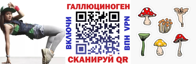 блэк спрут ссылки Красноярск Псилоцибиновые грибы ЛСД